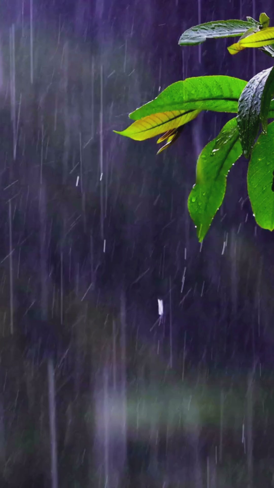 Noise Masking Audio Generator — Block Distractions, Stay Focused