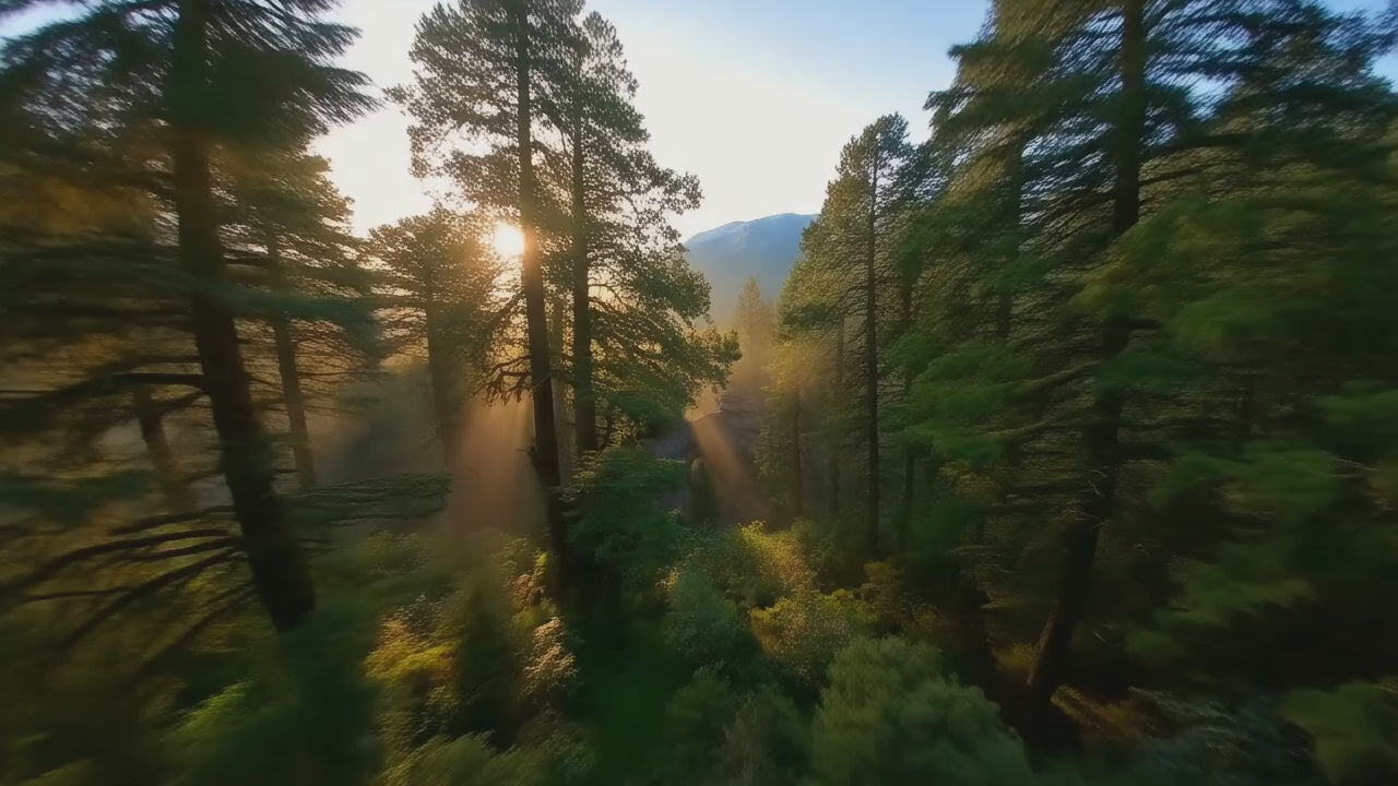 FPV Drone “Impossible Shot” Generator (Runway & Veo)